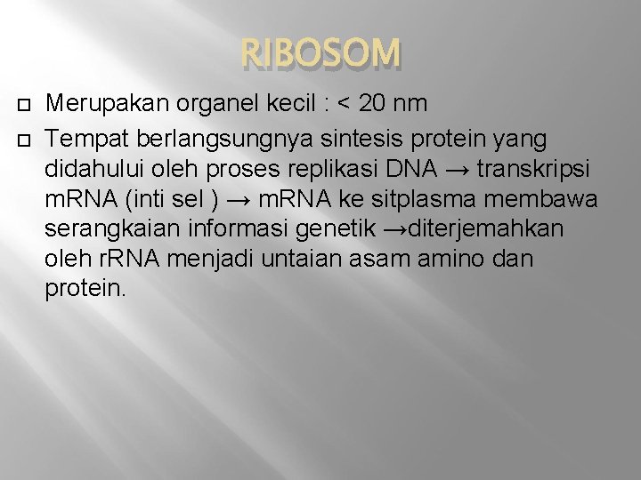 RIBOSOM Merupakan organel kecil : < 20 nm Tempat berlangsungnya sintesis protein yang didahului