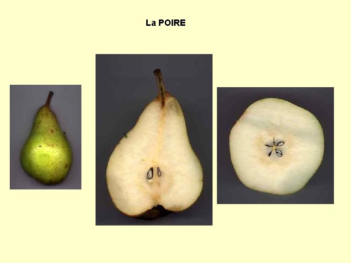 La POIRE 