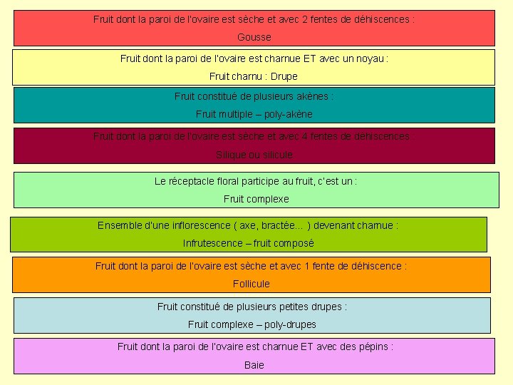 Fruit dont la paroi de l’ovaire est sèche et avec 2 fentes de déhiscences