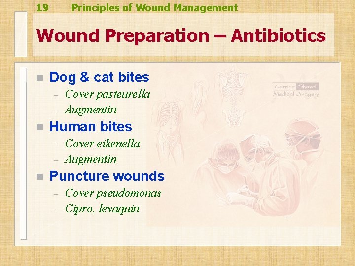 19 Principles of Wound Management Wound Preparation – Antibiotics n Dog & cat bites 19 Principles of Wound Management Wound Preparation – Antibiotics n Dog & cat bites