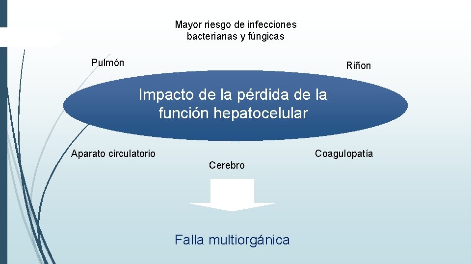 Mayor riesgo de infecciones bacterianas y fúngicas Pulmón Riñon Impacto de la pérdida de Mayor riesgo de infecciones bacterianas y fúngicas Pulmón Riñon Impacto de la pérdida de