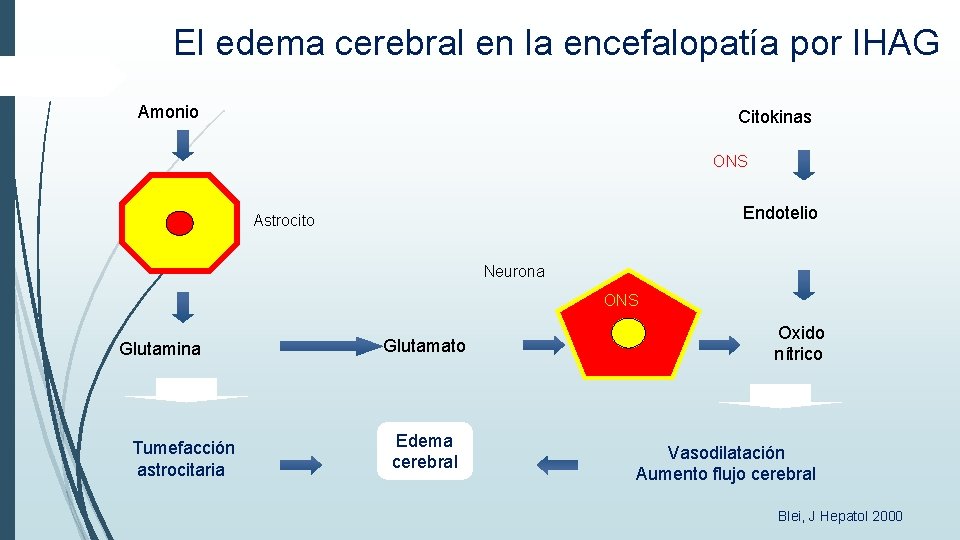 El edema cerebral en la encefalopatía por IHAG Amonio Citokinas ONS Endotelio Astrocito Neurona El edema cerebral en la encefalopatía por IHAG Amonio Citokinas ONS Endotelio Astrocito Neurona