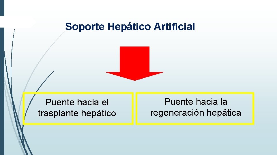 Soporte Hepático Artificial Puente hacia el trasplante hepático Puente hacia la regeneración hepática Soporte Hepático Artificial Puente hacia el trasplante hepático Puente hacia la regeneración hepática