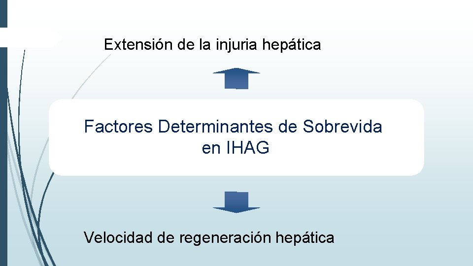 Extensión de la injuria hepática Factores Determinantes de Sobrevida en IHAG Velocidad de regeneración Extensión de la injuria hepática Factores Determinantes de Sobrevida en IHAG Velocidad de regeneración