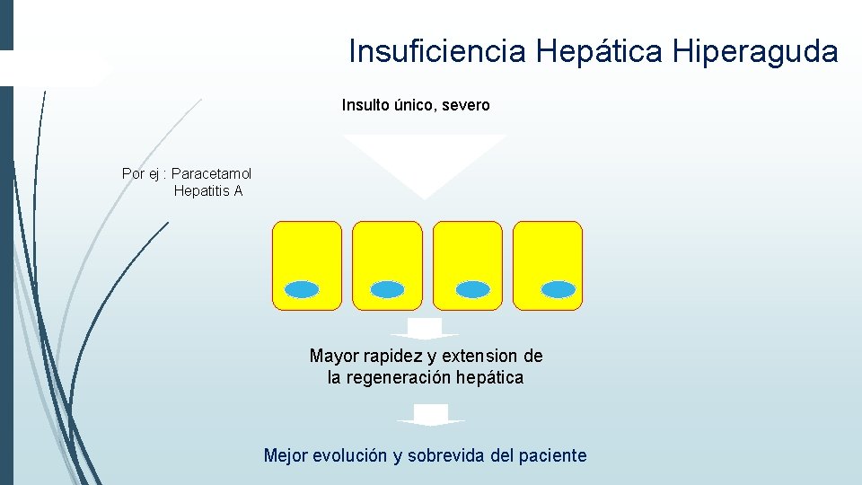 Insuficiencia Hepática Hiperaguda Insulto único, severo Por ej : Paracetamol Hepatitis A Mayor rapidez Insuficiencia Hepática Hiperaguda Insulto único, severo Por ej : Paracetamol Hepatitis A Mayor rapidez
