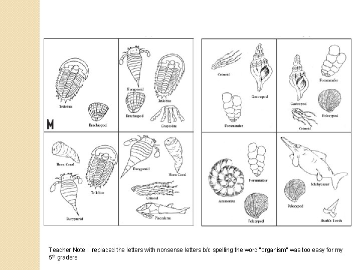 Teacher Note: I replaced the letters with nonsense letters b/c spelling the word “organism”