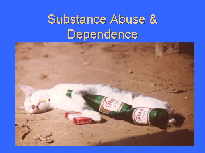 Substance Abuse & Dependence 