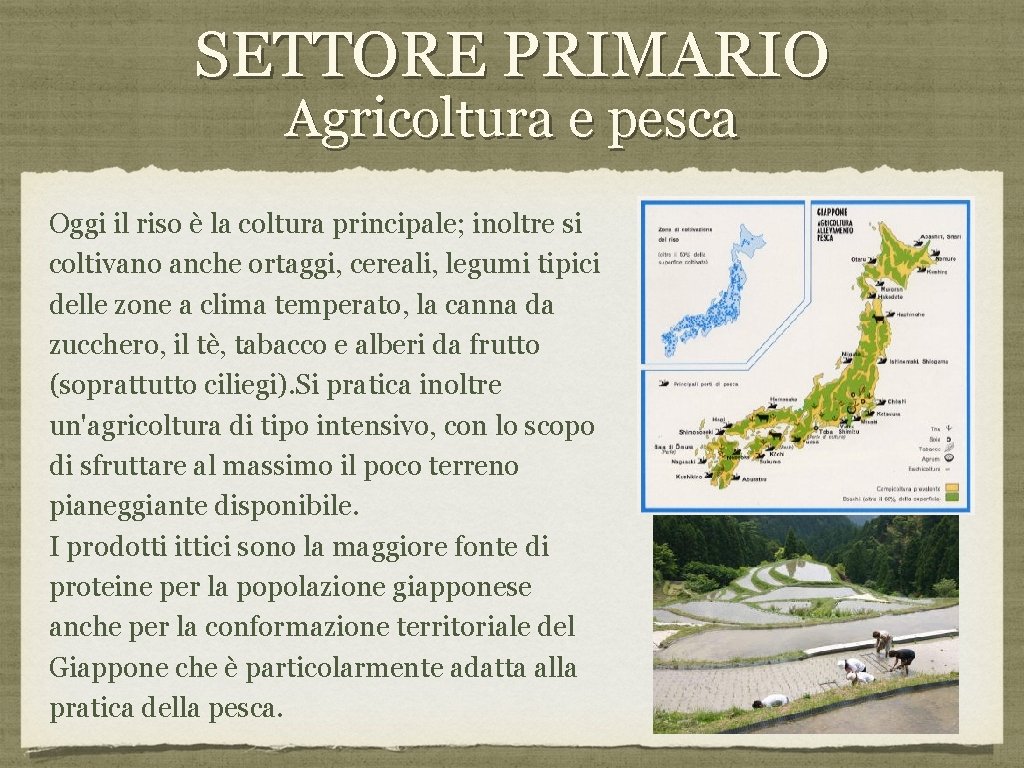 SETTORE PRIMARIO Agricoltura e pesca Oggi il riso è la coltura principale; inoltre si
