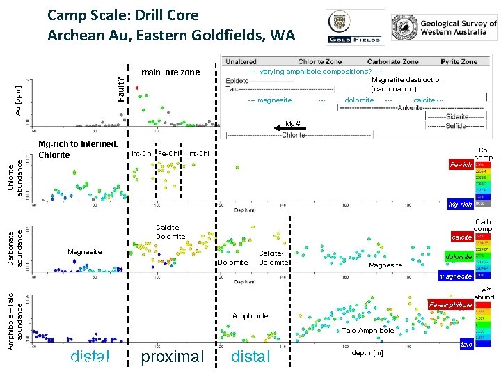 Au [ppm] Fault? Camp Scale: Drill Core Archean Au, Eastern Goldfields, WA main ore