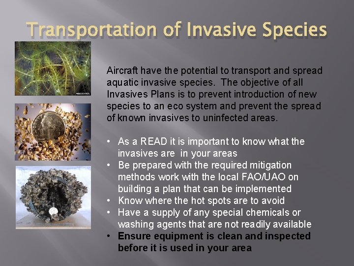 Transportation of Invasive Species Aircraft have the potential to transport and spread aquatic invasive