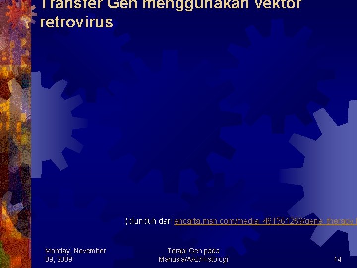 Transfer Gen menggunakan vektor retrovirus (diunduh dari encarta. msn. com/media_461561269/gene_therapy. h Monday, November 09,