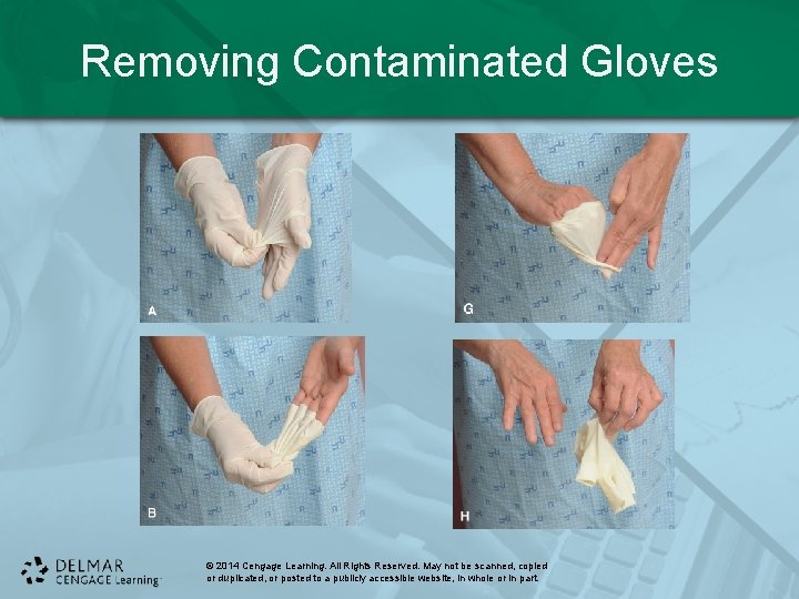 Removing Contaminated Gloves © 2014 Cengage Learning. All Rights Reserved. May not be scanned,