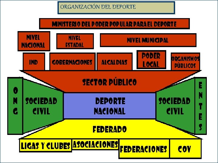 ORGANIZACIÓN DEL DEPORTE 