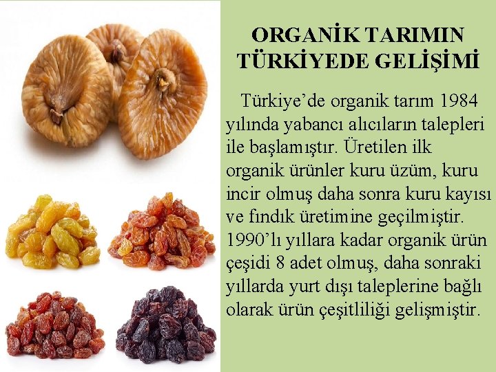 ORGANİK TARIMIN TÜRKİYEDE GELİŞİMİ Türkiye’de organik tarım 1984 yılında yabancı alıcıların talepleri ile başlamıştır.