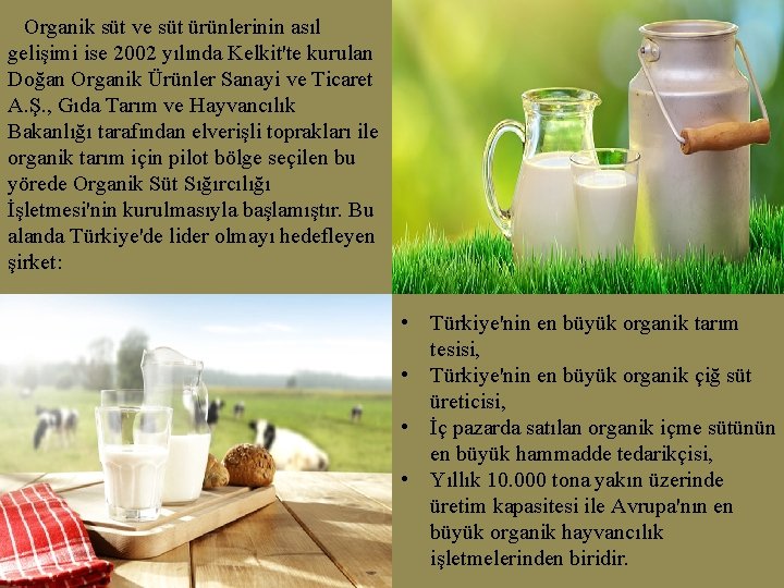 Organik süt ve süt ürünlerinin asıl gelişimi ise 2002 yılında Kelkit'te kurulan Doğan Organik