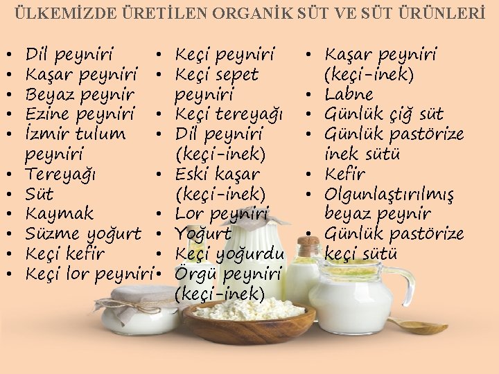 ÜLKEMİZDE ÜRETİLEN ORGANİK SÜT VE SÜT ÜRÜNLERİ • • • Dil peyniri • Kaşar