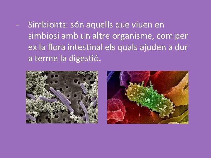 - Simbionts: són aquells que viuen en simbiosi amb un altre organisme, com per