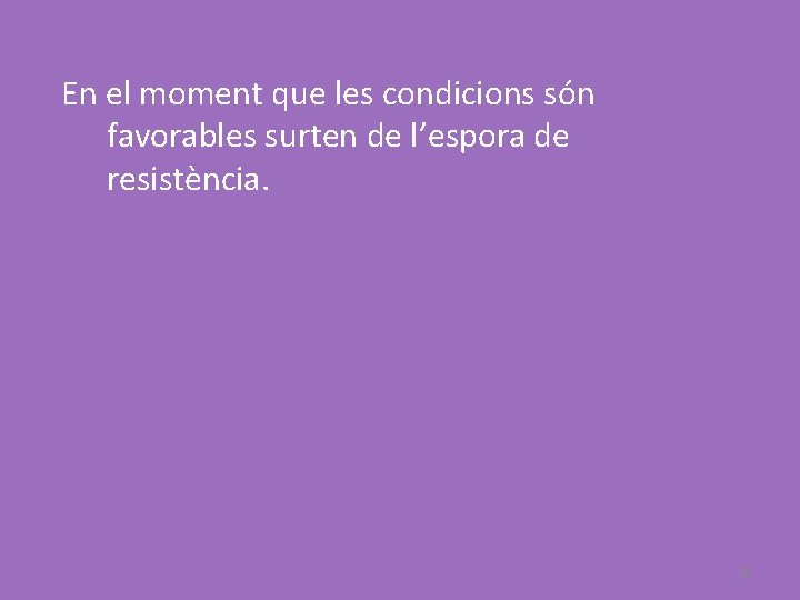 En el moment que les condicions són favorables surten de l’espora de resistència. 29