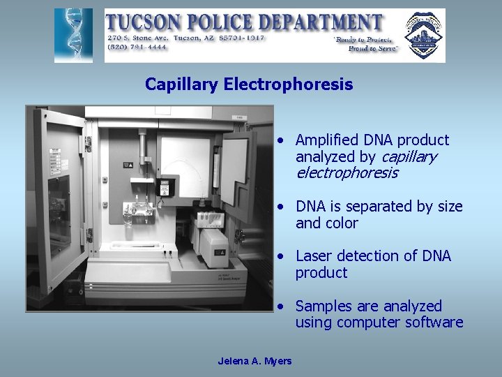 Capillary Electrophoresis • Amplified DNA product analyzed by capillary electrophoresis • DNA is separated