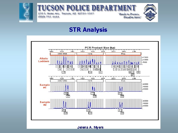 STR Analysis Jelena A. Myers 