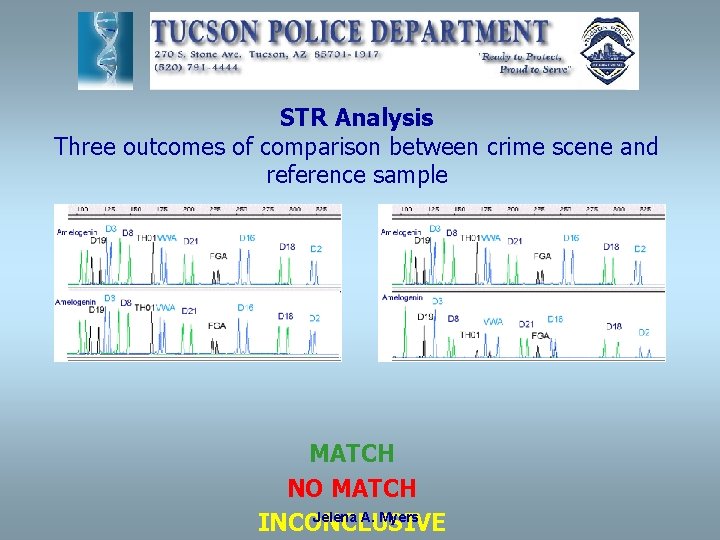 STR Analysis Three outcomes of comparison between crime scene and reference sample MATCH NO