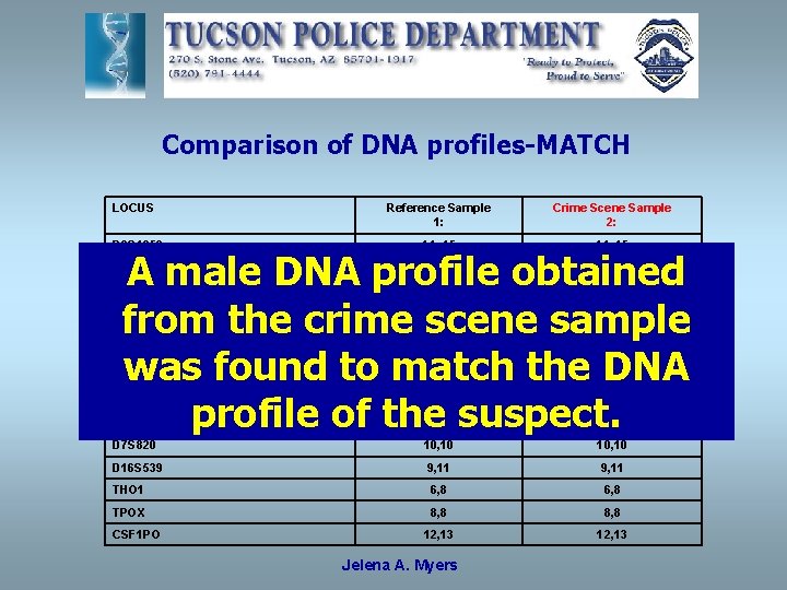 Comparison of DNA profiles-MATCH LOCUS Reference Sample 1: Crime Scene Sample 2: D 3
