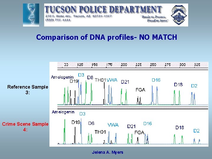 Comparison of DNA profiles- NO MATCH Reference Sample 3: Crime Scene Sample 4: Jelena