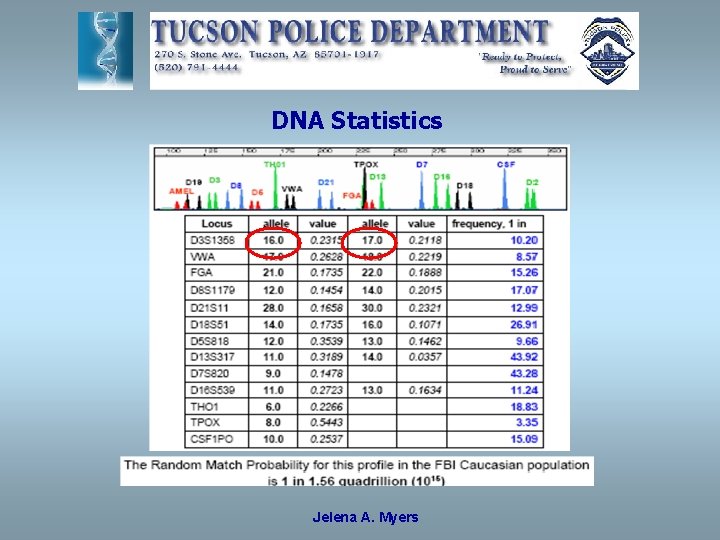 DNA Statistics Jelena A. Myers 