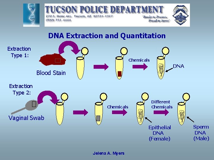 DNA Extraction and Quantitation Extraction Type 1: Chemicals DNA Blood Stain Extraction Type 2: