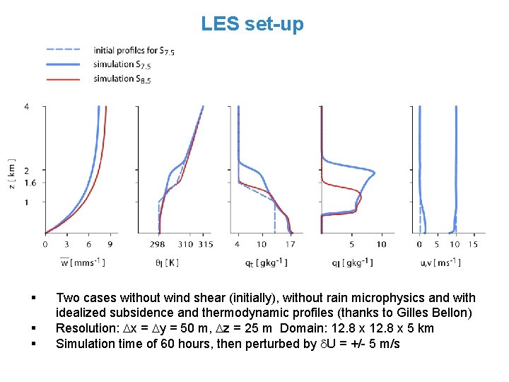 LES set-up § § § Two cases without wind shear (initially), without rain microphysics