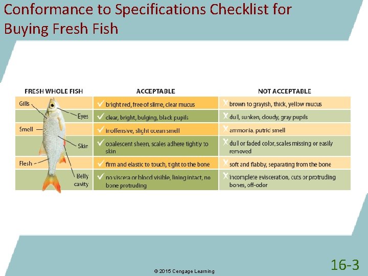 Conformance to Specifications Checklist for Buying Fresh Fish © 2015 Cengage Learning 16 -3