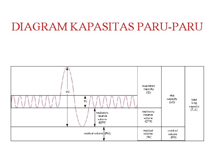 DIAGRAM KAPASITAS PARU-PARU DIAGRAM KAPASITAS PARU-PARU