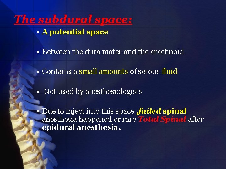 The subdural space: • A potential space • Between the dura mater and the