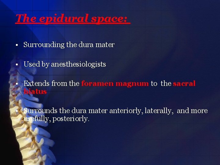 The epidural space: • Surrounding the dura mater • Used by anesthesiologists • Extends