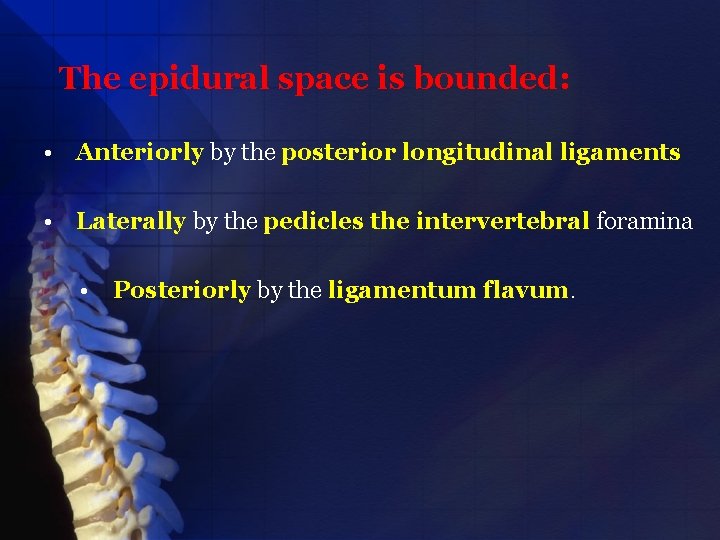 The epidural space is bounded: • Anteriorly by the posterior longitudinal ligaments • Laterally