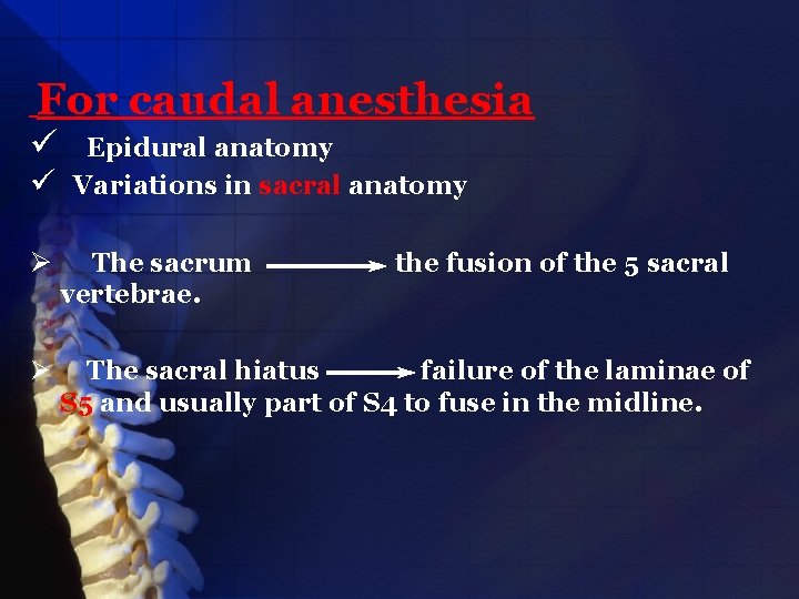 For caudal anesthesia ü ü Epidural anatomy Variations in sacral anatomy Ø The sacrum