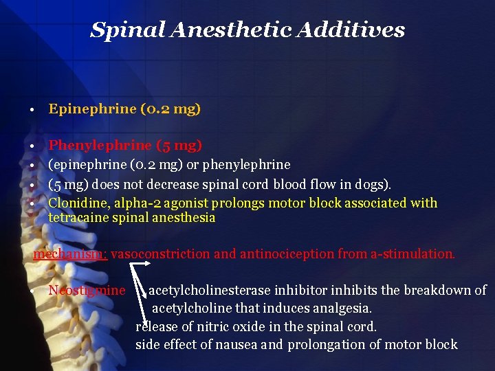 Spinal Anesthetic Additives • Epinephrine (0. 2 mg) • • Phenylephrine (5 mg) (epinephrine