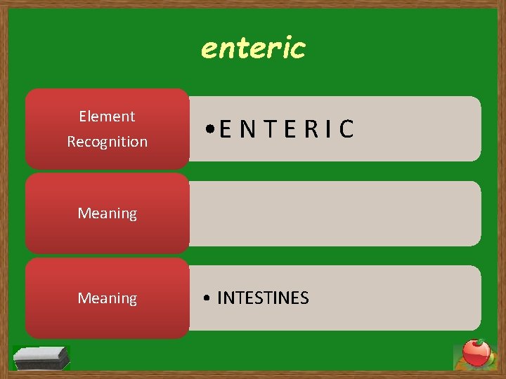 enteric Element Recognition • E N T E R I C Meaning • INTESTINES