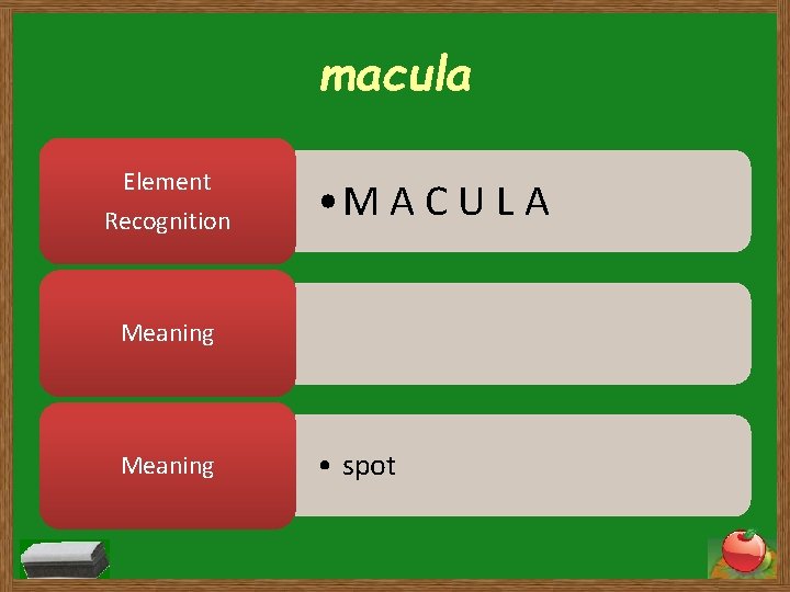 macula Element Recognition • M A C U L A Meaning • spot 