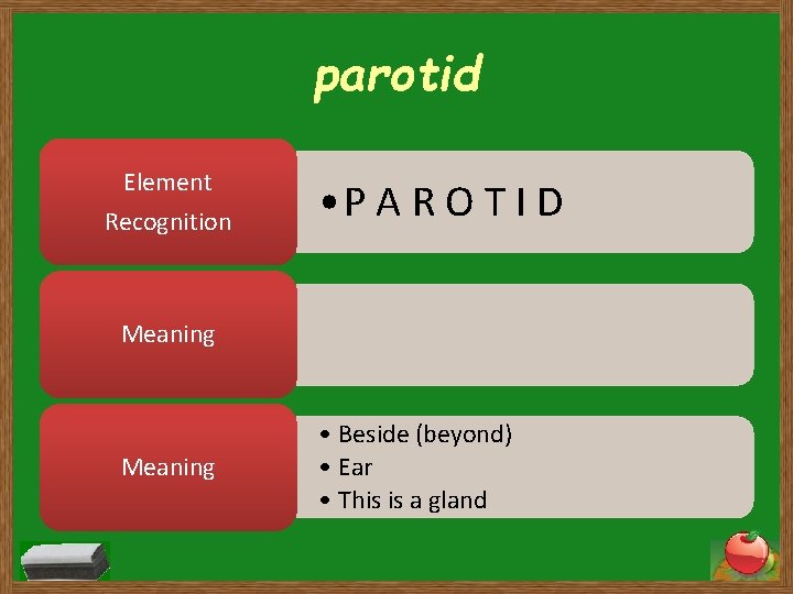 parotid Element Recognition • P A R O T I D Meaning • Beside