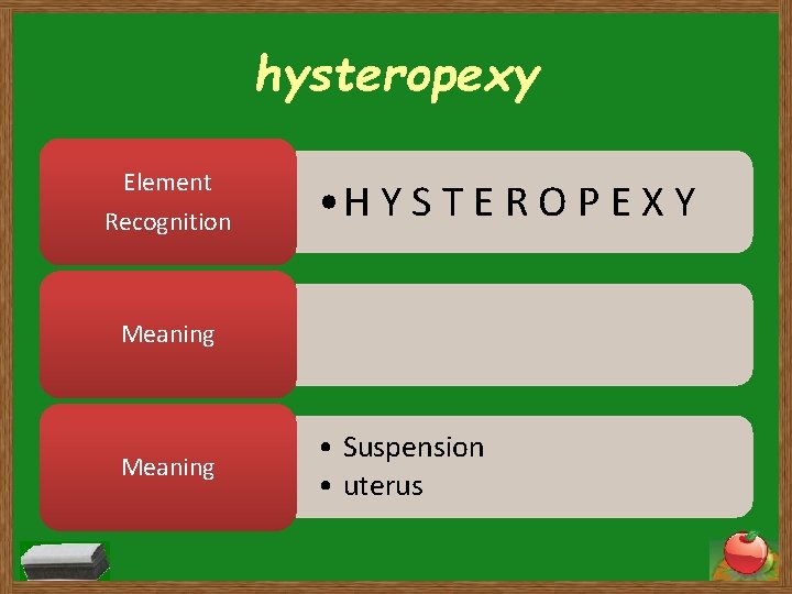 hysteropexy Element Recognition • H Y S T E R O P E X