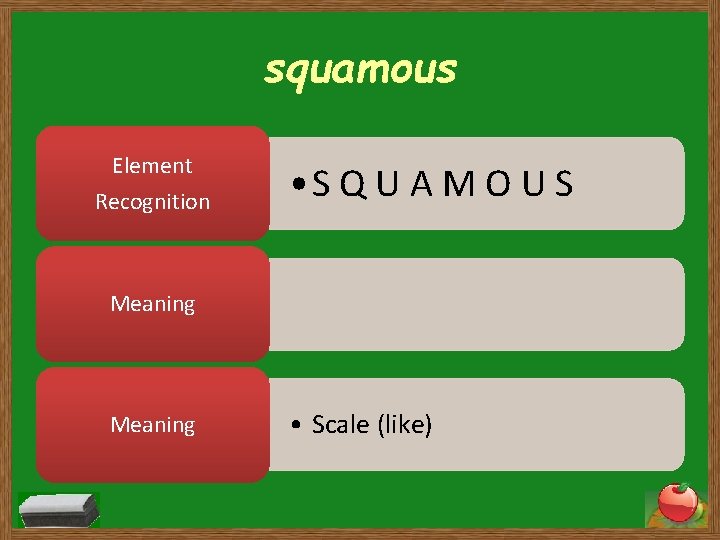 squamous Element Recognition • S Q U A M O U S Meaning •