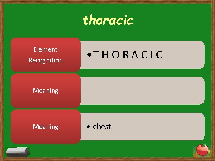 thoracic Element Recognition • T H O R A C I C Meaning •