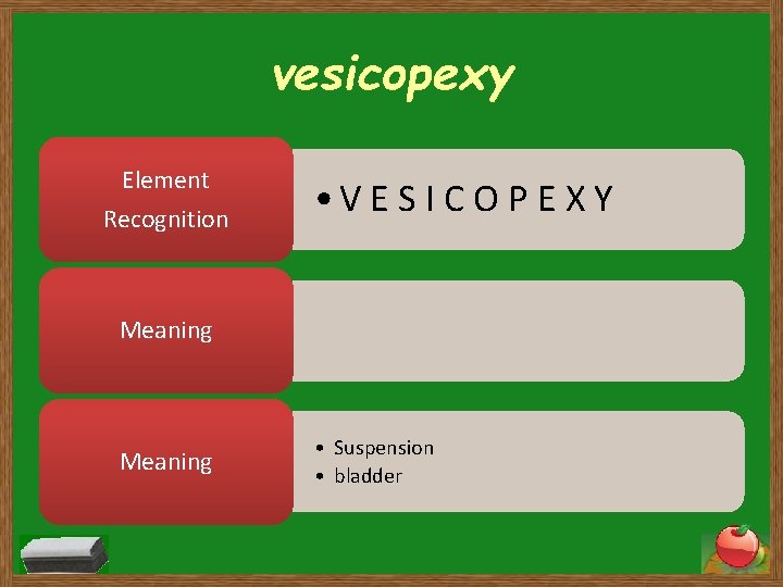 vesicopexy Element Recognition • V E S I C O P E X Y