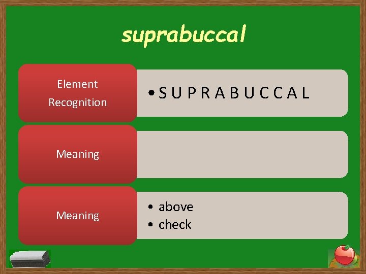 suprabuccal Element Recognition • S U P R A B U C C A