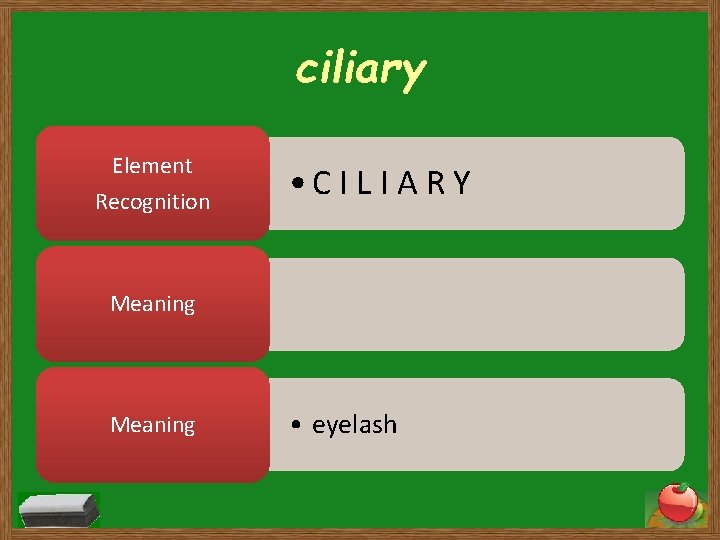 ciliary Element Recognition • C I L I A R Y Meaning • eyelash