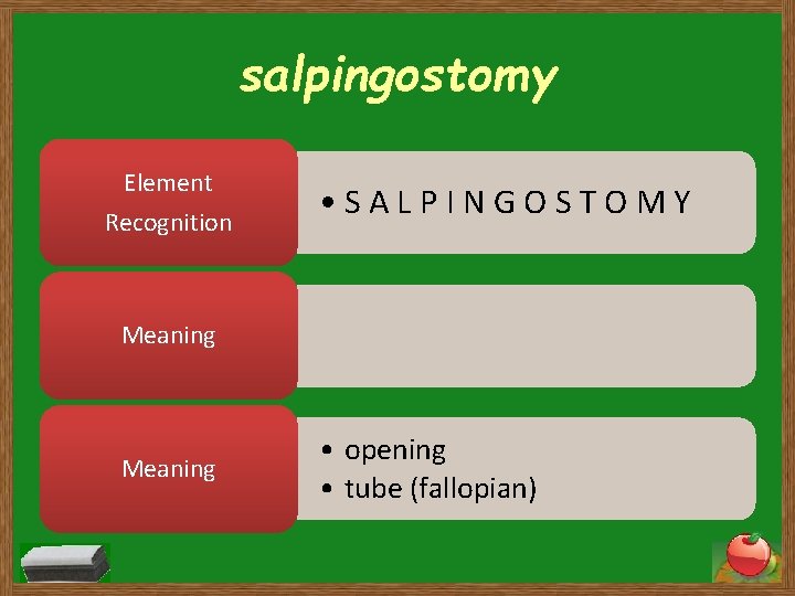 salpingostomy Element Recognition • SALPINGOSTOMY Meaning • opening • tube (fallopian) 