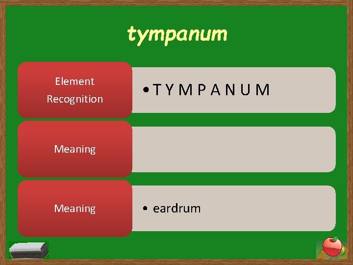 tympanum Element Recognition • T Y M P A N U M Meaning •