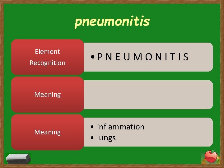 pneumonitis Element Recognition • P N E U M O N I T I