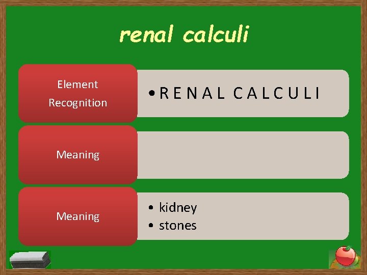 renal calculi Element Recognition • R E N A L C U L I